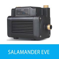SALAMANDER EVE